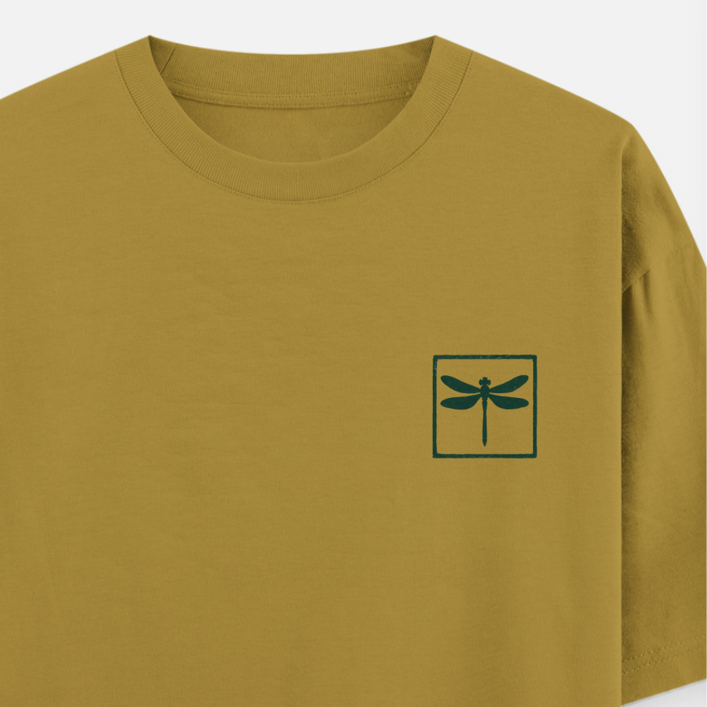 Dragonfly - Hover, Then Strike