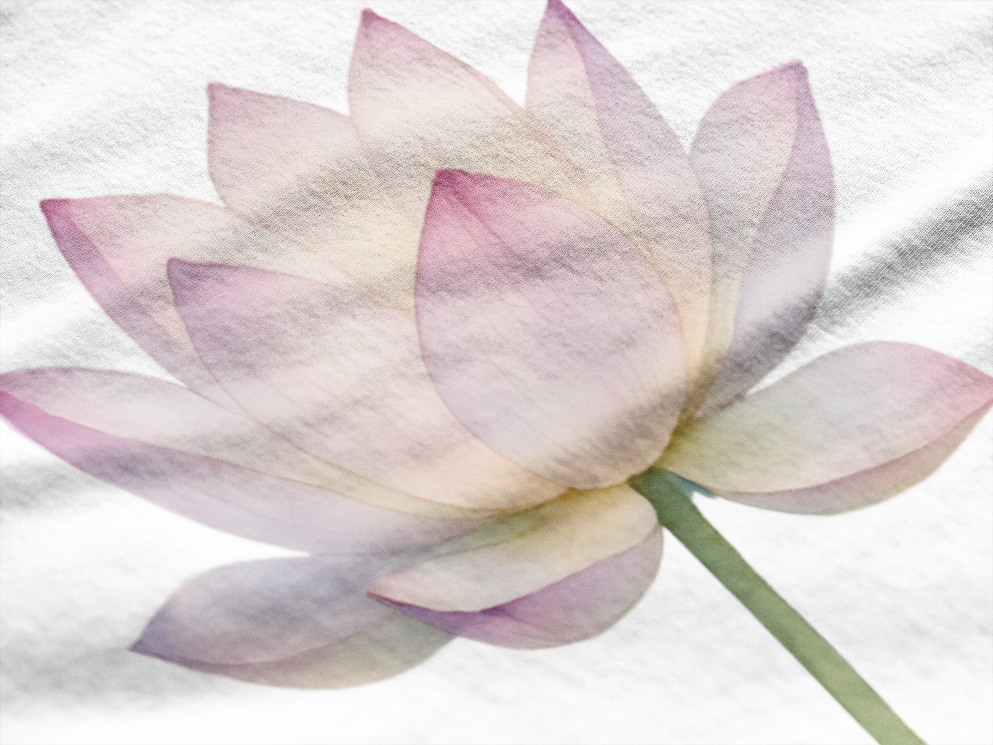Lotus Tee